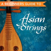 A Beginner's Guide to Asian Strings artwork