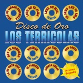 Disco de Oro - Los Terricolas artwork