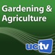 UC Davis Newswatch: Greening Cattle Industry