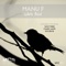 White Bird - Manu F lyrics