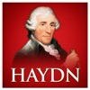 Haydn, 2013