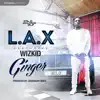 Ginger (feat. Wizkid) song lyrics