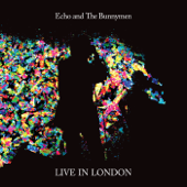 Live in London 2014 - Echo & The Bunnymen