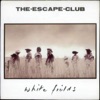 White Fields (Remastered)