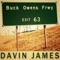 Buck Owens Freeway - Davin James lyrics