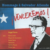 Allende Presidente artwork