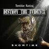 Stream & download Destroy the Evidence - Single