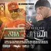 DLK Enterprise Presents: Tha Gambla & a Felon album lyrics, reviews, download