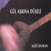 Gül Aşkına Düşeli