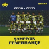 Yaşa Fenerbahçe artwork