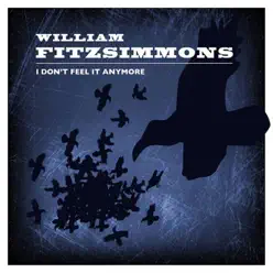 I Don't Feel It Anymore - Single - William Fitzsimmons