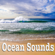 Ocean With Birds - Nature Sounds
