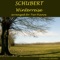 Winterreise, D. 911: No. 5, Der Lindenbaum (Arr. for Two Pianos by Claudio Colombo) artwork