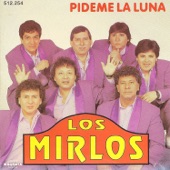 Los Mirlos - La danza de los mirlos