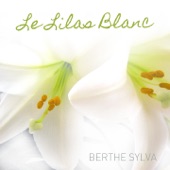 Le lilas blanc