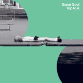 Sonar Soul - The Dive (feat. Justyna Dumplings)