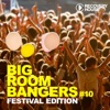 Big Room Bangers, Vol. 10 - Festival Edition