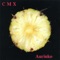 Ainomieli - CMX lyrics