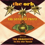 The Orb - Man In the Moon