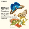 Orchestre Philharmonique Royal de Liège, Patrick Davin & Yossif Ivanov - Metamorphoseon, 12 Modi, P. 169: VI. Vivo