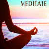 Meditate album lyrics, reviews, download