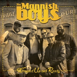 The Mannish Boys - Struggle in My Hometown