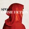 The Delicate Place - Spoon lyrics