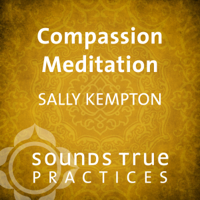 Sally Kempton - Compassion Meditation artwork