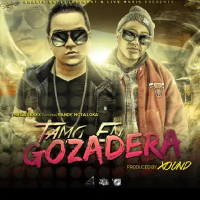 Tamo En Gozadera (feat. Randy Nota Loka) - Single - Mega Sexxx