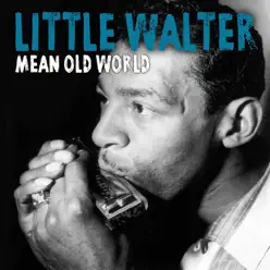 Mean Old World - Single - Little Walter