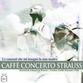 Il paese dei campanelli: Fox della luna - Caffe concerto strauss & Cristian Pintilie