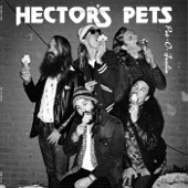 Hector's Pets - New Job