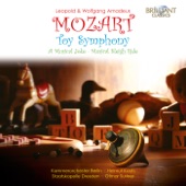 W. A. Mozart & L. Mozart: Toy Symphony, a Musical Joke artwork