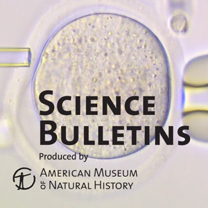 Human Bulletin cover