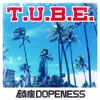 CHINZA DOPENESS - Fullmony