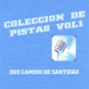 Colección de Pistas, vol. 1, 2014