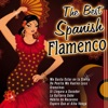 The Best Spanish Flamenco