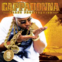 Slang Prostitution - Cappadonna Slang Prostitution - Cappadonna