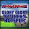 Glory Glory Tottenham Hotspur (Tottenham Anthems) - Gold Band lyrics