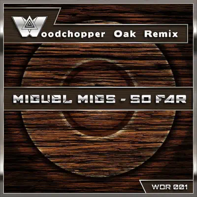 So Far (Woodchopper Oak Remix) - Single - Miguel Migs