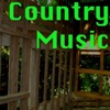Brad Jackson - Country Bluegrass Music