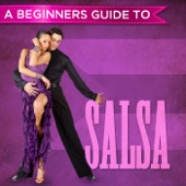 A Beginners Guide to: Salsa artwork