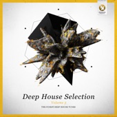 Armada Deep House Selection, Vol. 3 (The Finest Deep House Tunes) artwork