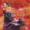 Flamenco! The Lounge Sessions