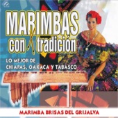 Marimba Brisas Del Grijalba De Humberto Moreno - La Tortuga del Arenal