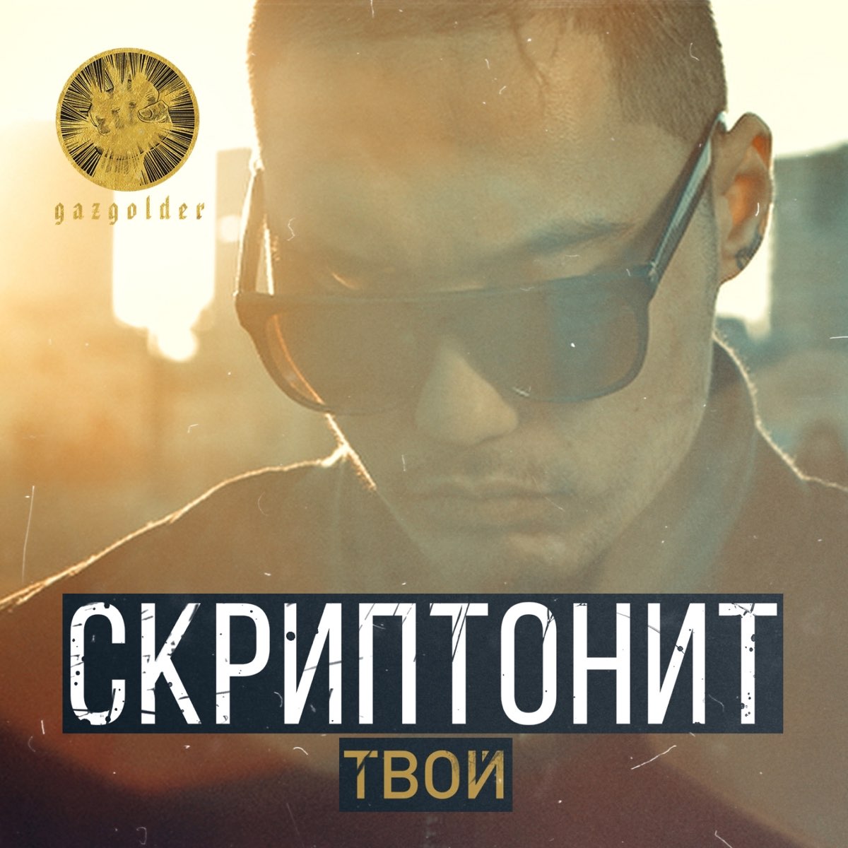 Скриптонит логотип