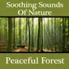 Soothing Sounds of Nature: Peaceful Forest album lyrics, reviews, download