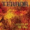 Another Face - Terror lyrics