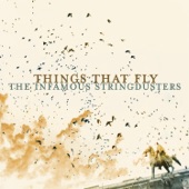 Things That Fly artwork