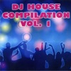 DJ house compilation, vol.1, 2013